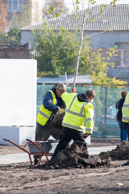 Apple Tree Planting