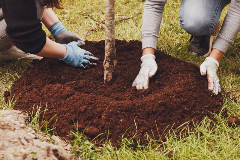 Apple Tree Planting