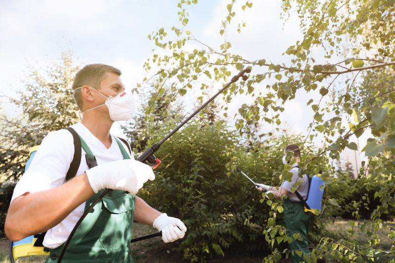 Arborist Spraying