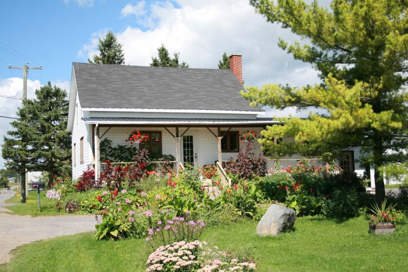 Backyard Remodeling