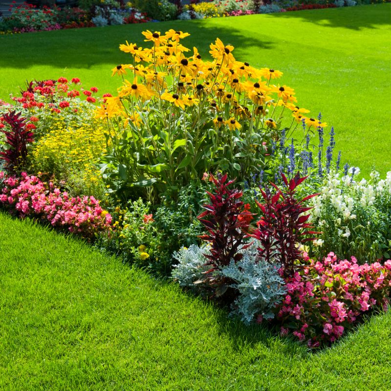 Black Mulch Installation