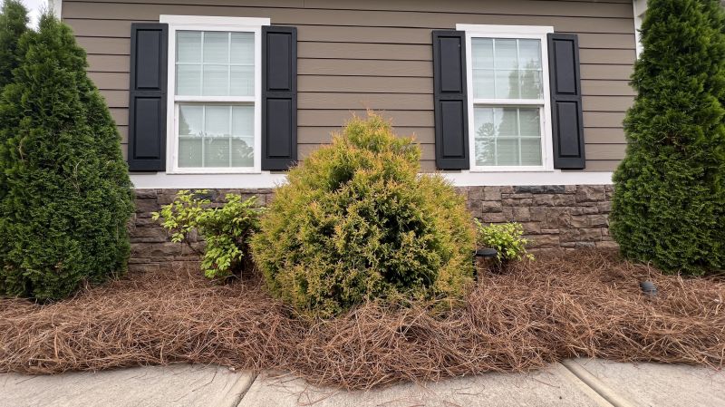 Brown Mulch Installation