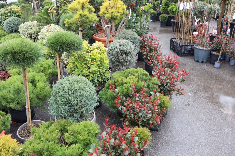 Bush Installation