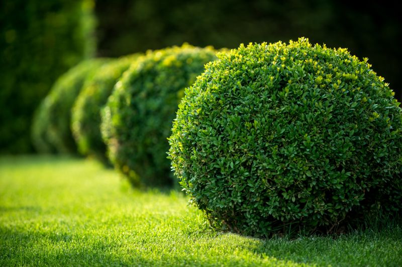 Bush Planting Service