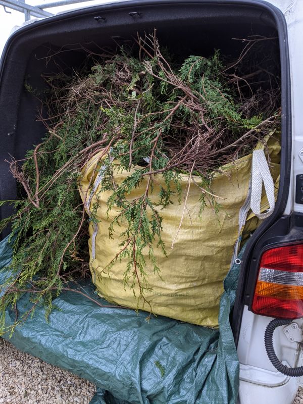 Bush Replacement