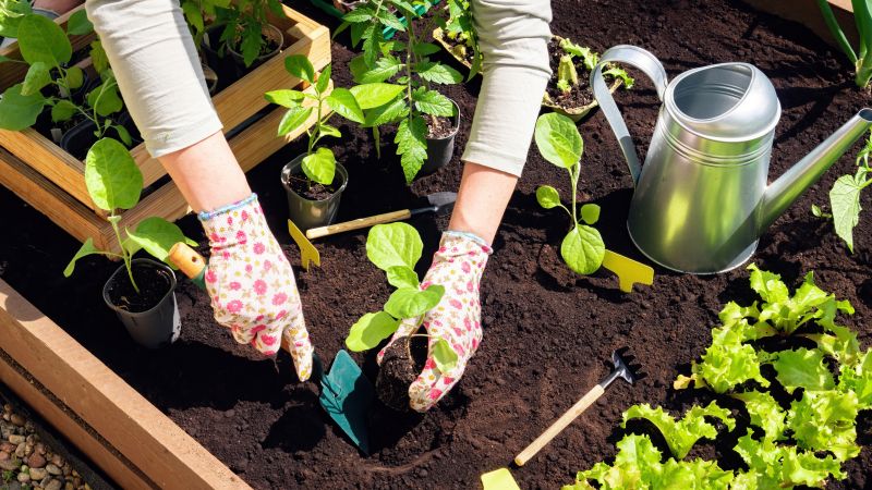 Commercial Garden Maintenance