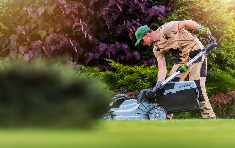 Commercial Lawn Renovation