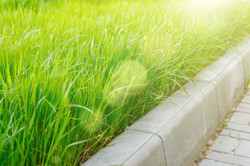Concrete Edging Replacement