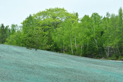 Condo Mulching