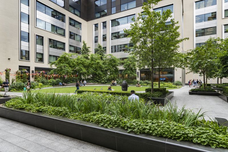 Courtyard Landscaping
