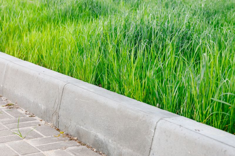 Curbing Installation
