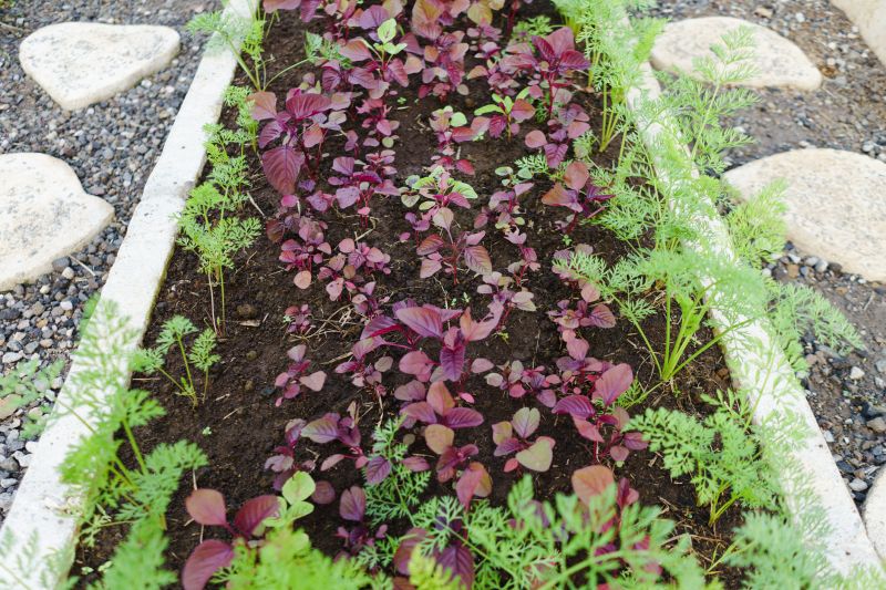 Decorative Curbing Service