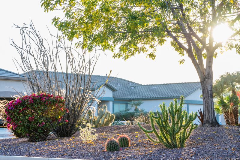 Desert Landscaping