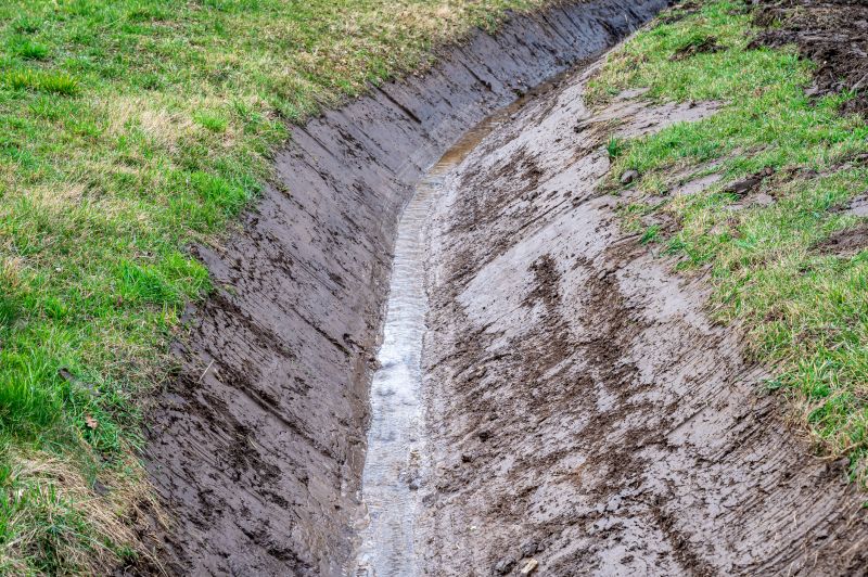 Ditch Clearing