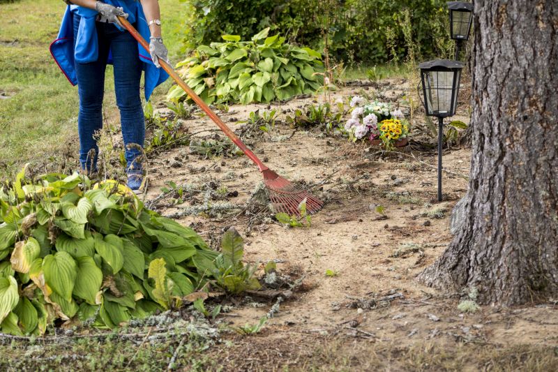 Ditch Clearing