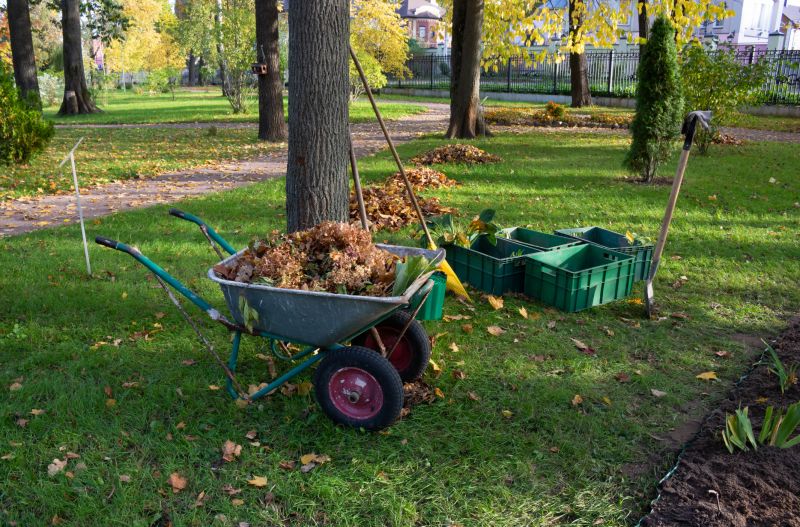 Ditch Clearing
