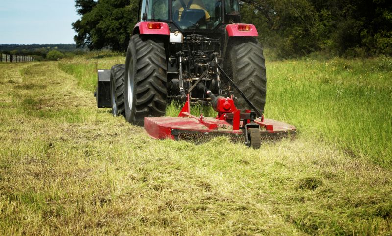 Ditch Clearing