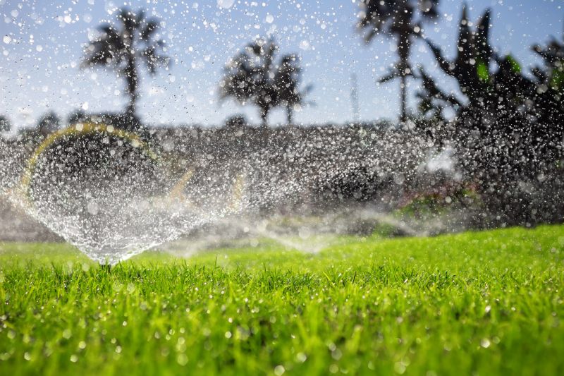 Drought Resistant Landscaping