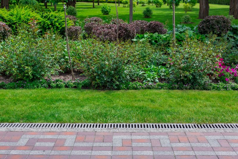 Dryscape Landscaping