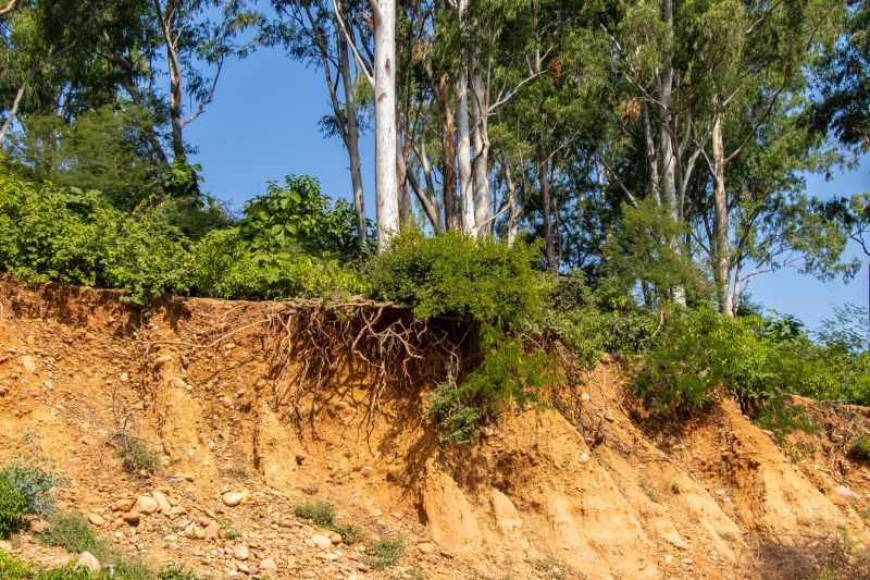 Erosion Matting Service