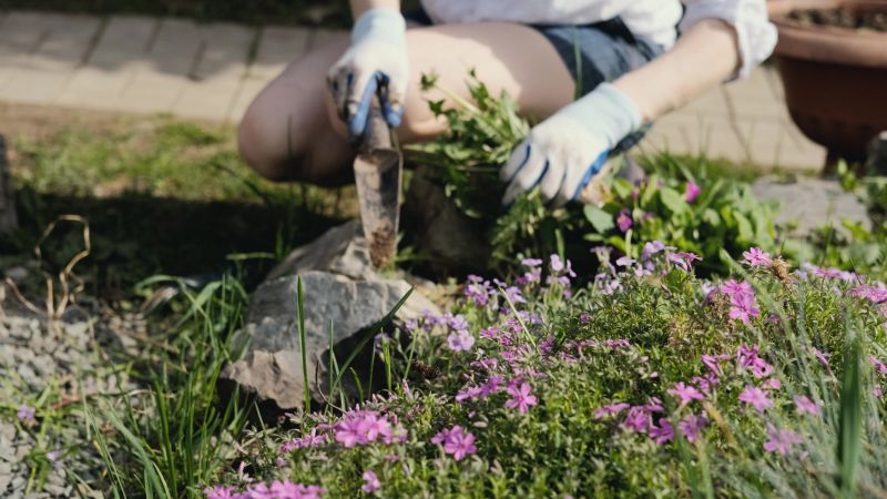 Flower Bed Clearing