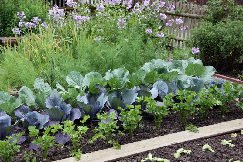 Flower Bed Planting