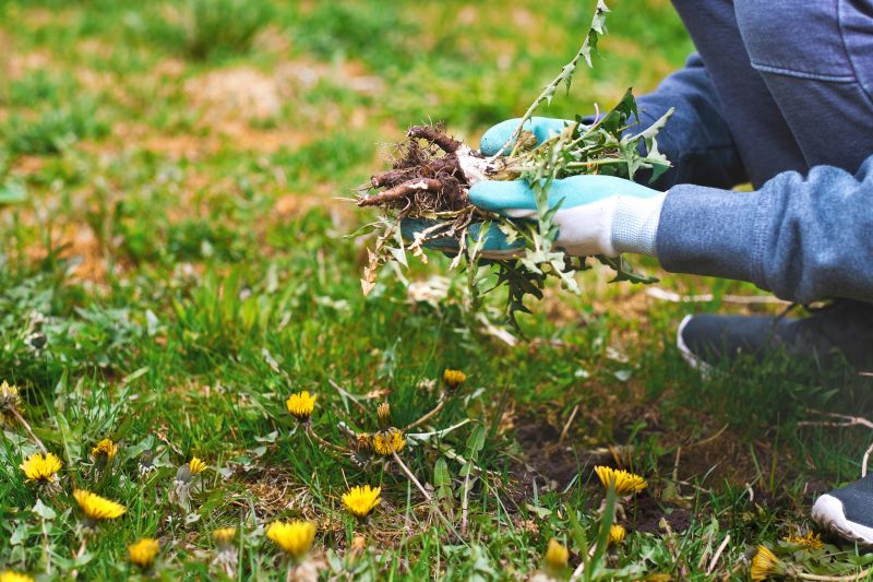 Flower Garden Weeding