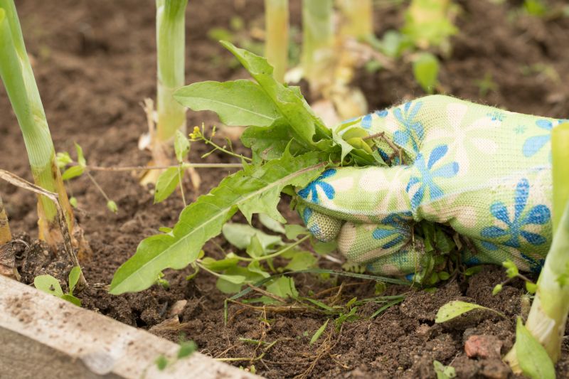 Flower Garden Weeding