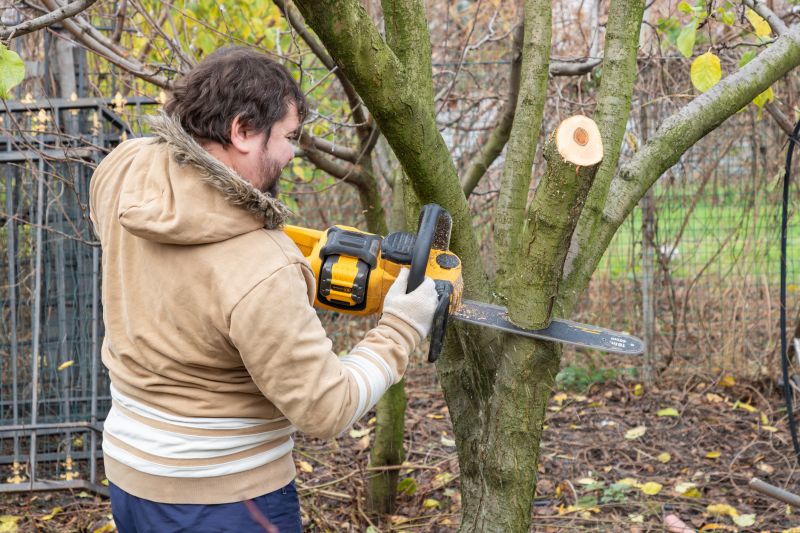 Arborist Tree Service detail
