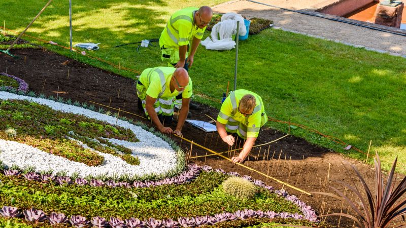 Commercial Landscaping detail