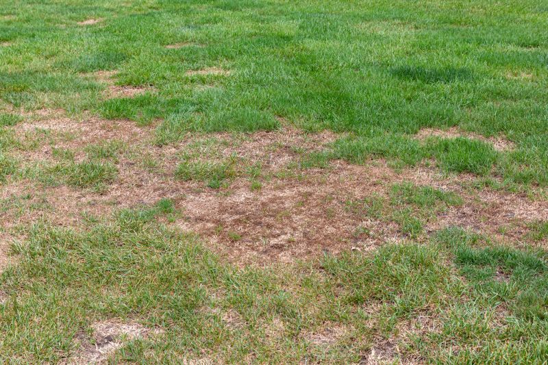 Damaged Yard Repair detail