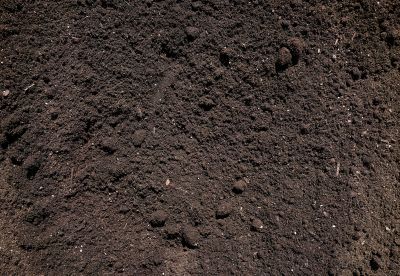 Fill Dirt Delivery detail
