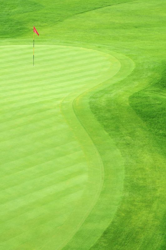 Golf Course Turf Installation detail