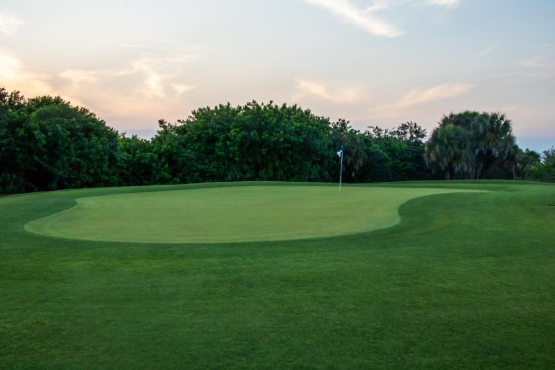 Golf Course Turf Installation detail