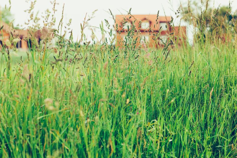 Grass Repair detail
