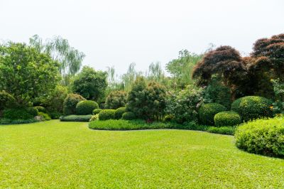 Landscape Mulching detail