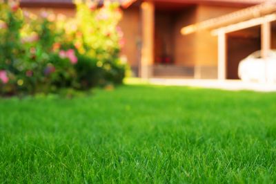 Landscaping Maintenance detail