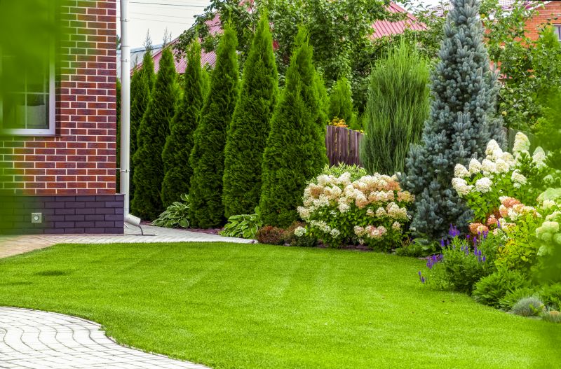 Landscaping Replacement detail