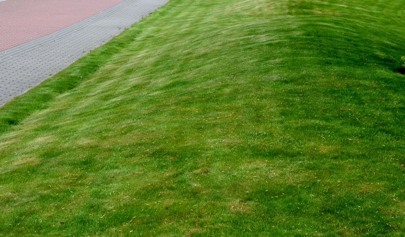 Lawn Erosion Repair detail
