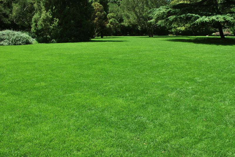Lawn Landscaping detail