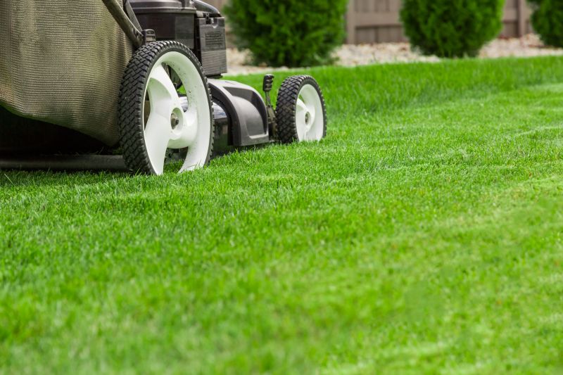 Lawn Landscaping detail