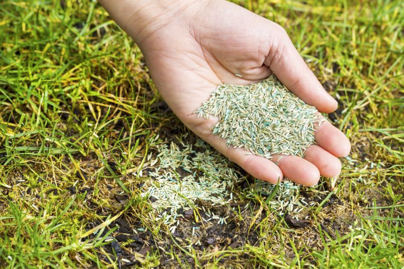 Mulch Spreading detail