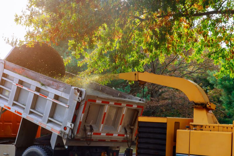 Wood Chips Delivery detail