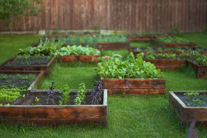 Garden Bed Construction