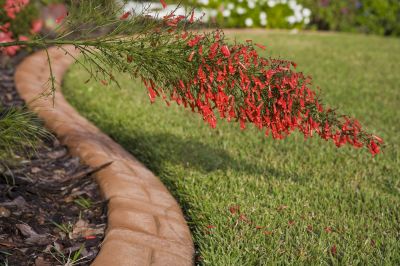 Garden Border Replacement