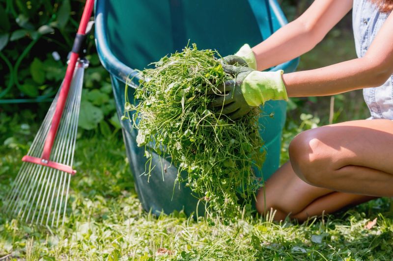 Garden Cleanup Service
