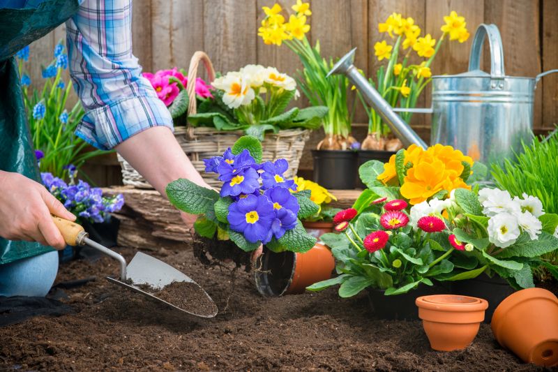 Garden Digging
