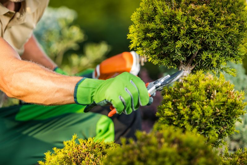 Garden Maintenance Service