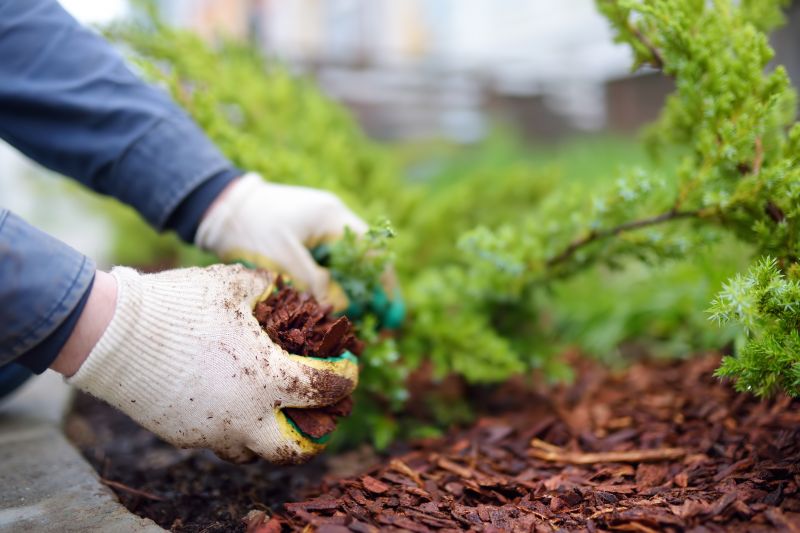 Garden Mulching