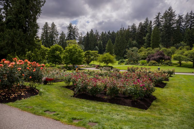 Garden Mulching